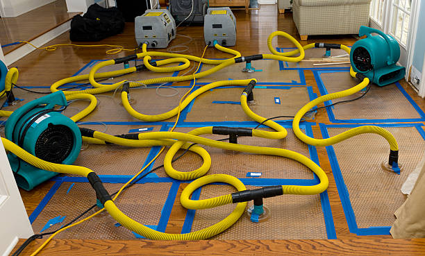Professional Basement Flood Cleanup technician working in Pembroke, NC